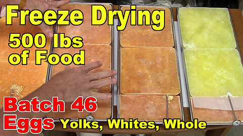 Freeze Drying Your First 500 lbs of Food - Batch 46 - Eggs - Whites, Yolks, and Whole Eggs