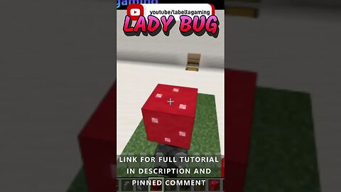 Lady Bug | Minecraft