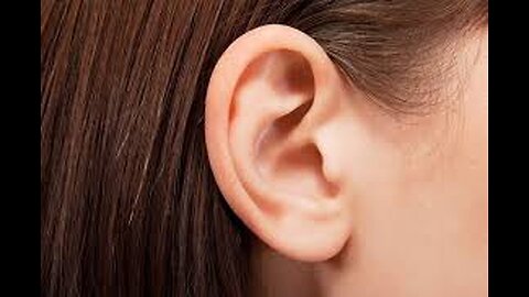 How Does the Human Ear Work?