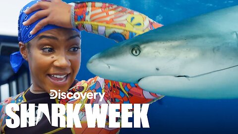 Tiffany Haddish Dives with Lemon Sharks! Shark Week