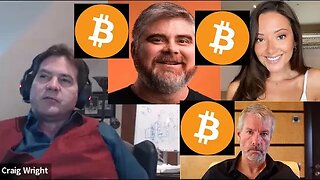 Dr Craig Wright's thoughts on BitBoy, Layah Heilpern, Michael Saylor and other "BTC influencers".