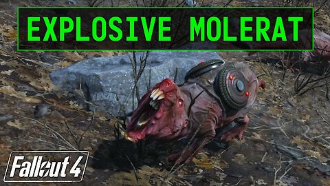 Fallout 4 | Explosive Molerat