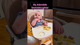 BEST Compact Highchair | Day 10 of 30 Day Home Product Challenge