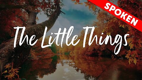 The Little Things - Spoken