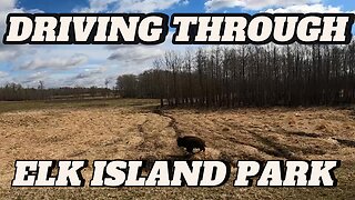 A Drive Through Of Elk Island National Park