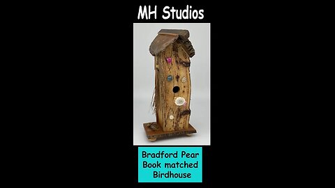 Bradford Pear Book matched Birdhouse #Shorts