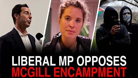 MP Anthony Housefather speaks out against McGill encampment protest at town hall