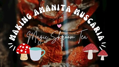 Amanita Muscaria Mushroom Tea: PTSD & Mental Health