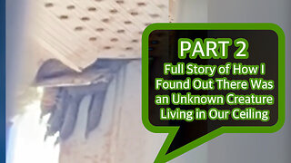 Full Story of How I found Out There Was an Unknown Creature Living In Our Ceiling