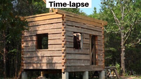 Time-lapse Dovetail Log Cabin Build (Ep 37) Through the Top Plates