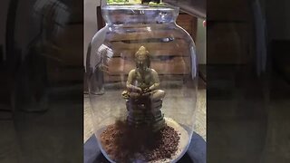 Buddha Terrarium green creations