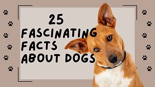25 Facts About Dogs That You Absolutely HAVE to See