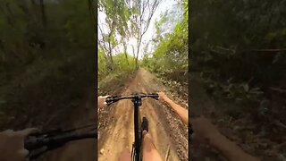 Bumpy Downhill MTB Ride POV | Bite Mount