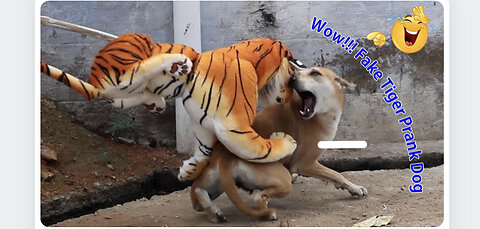 Wow lll Fake Tiger prank to Dog lll 😂😂 Try not to laugh 😂😂