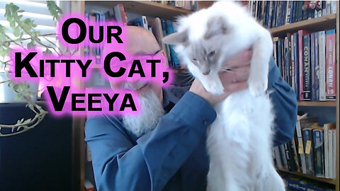 Our Kitty Cat, Veeya