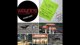 Wayning Interest Podcast #136 Powerback Raven Pants