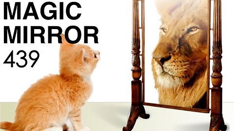 Magic Mirror 439 - It's A Dog's Life