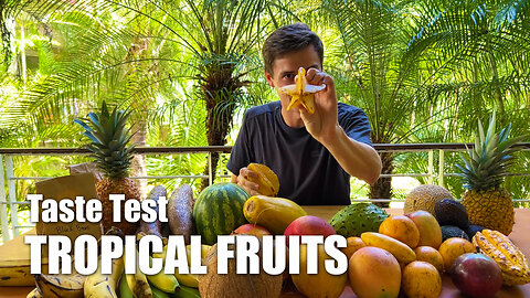 Costa Rica Bluezone Farmers Market | Abundance Of Tropical Fruits