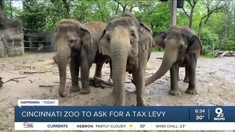 Cincinnati Zoo to ask for a tax levy