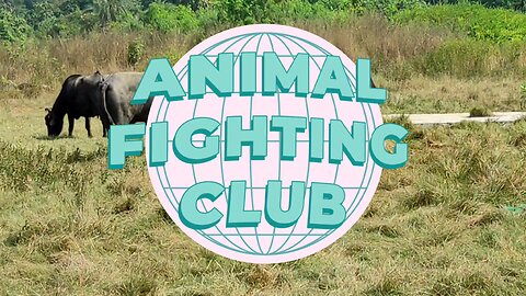 ANIMAL FIGHTING CLUB