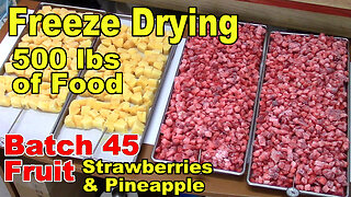 Freeze Drying Your First 500 lbs of Food - Batch 45 - Strawberries and Pineapple