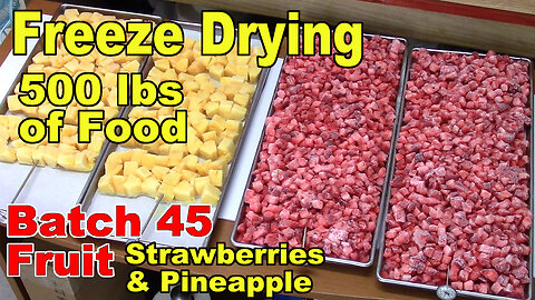 Freeze Drying Your First 500 lbs of Food - Batch 45 - Strawberries and Pineapple