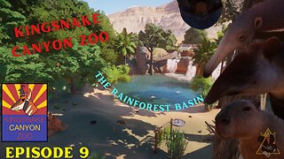 The Rainforest Basin | Kingsnake Canyon Zoo: Episode 9