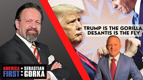Trump is the Gorilla, DeSantis is the Fly. Grant Stinchfield with Sebastian Gorka on AMERICA First