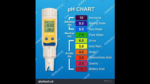 Digital pH Meter, Water PH Test Meter with 0.00-14.00ph Measure RangePH Meter with ATC,Water Q...