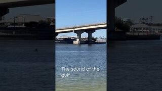 Gulf Sound - the Soothing Sound of the Gulf #shorts #gulfofmexico #oceansounds #relaxing