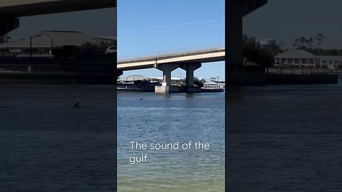 Gulf Sound - the Soothing Sound of the Gulf #shorts #gulfofmexico #oceansounds #relaxing