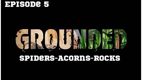 Grounded | Episode 5 : SPIDERS - ACRONS - ROCKS