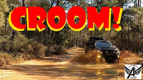 The Florida Adventure Trail | Ep 6 | Overlanding the Forest Roads in Croom WMA