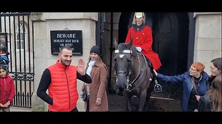 Horse pushing tourist's #horseguardsparade