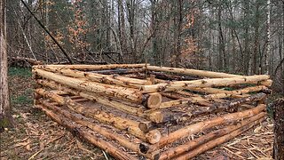 OFF GRID HOG PEN IS PORK CHOP READY | TIMBER FRAME CABIN HOMESTEAD