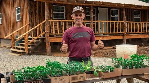 BUILDING A GARDEN FENCE & PLANTING VEGGIES | TIMBER FRAME CABIN | OFF GRID HOMESTEAD