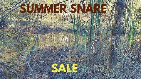 Snare Sale - Off Season Bargains!