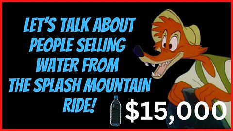 LET'S TALK ABOUT PEOPLE SELLING WATER FROM THE SPLASH MOUNTAIN RIDE!