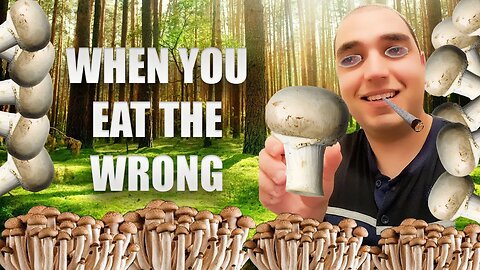 When You Eat The Wrong Mushrooms