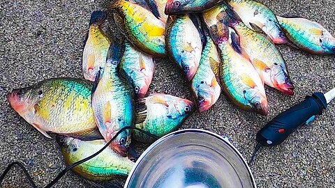 How to fillet a crappie in 18 seconds