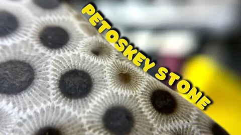 Polishing a PETOSKEY STONE feat. Michigan Rocks | Lapidary