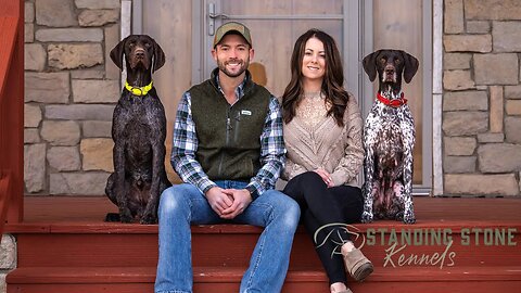 Standing Stone Kennels - German Shorthaired Pointers, Dog Training and Hunting