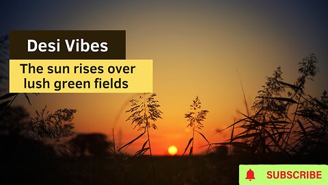 Unveiling Desi Vibes: The Ultimate Journey Through Lush Green Fields