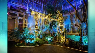 Escape winter and visit The Buffalo and Erie County Botanical Gardens - Part 2