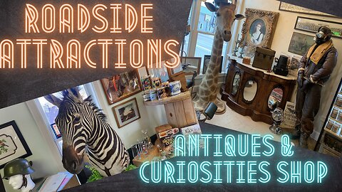 Roadside Attractions Antique & Curiosity Shop - Complete Walkthrough - Metamora, MI