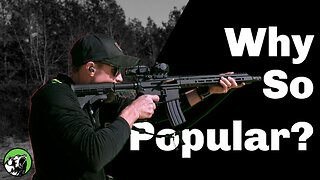 Why Are AR-15s So Popular?