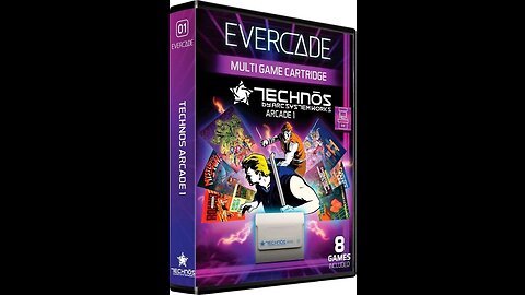 Evercade Technos Arcade 1