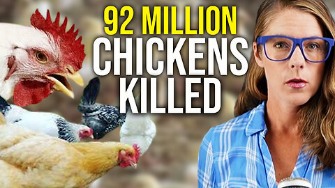 92 million chickens euthanized since 2022 || Dr. Meryl Nass