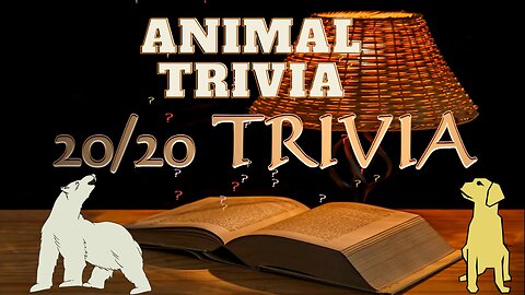 20/20 Trivia Animal Edition So 20 Animal Trivia Quiz Questions With 20 Seconds To Answer Each One