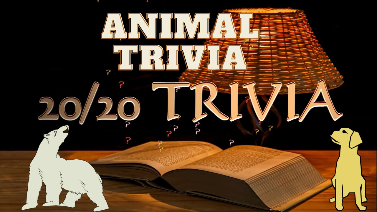 20/20 Trivia Animal Edition So 20 Animal Trivia Quiz Questions With 20 ...